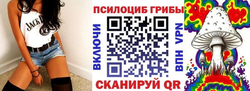 Галлюциногенные грибы Cubensis Змеиногорск